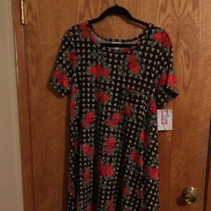 LulaRoe Carly dress Size L